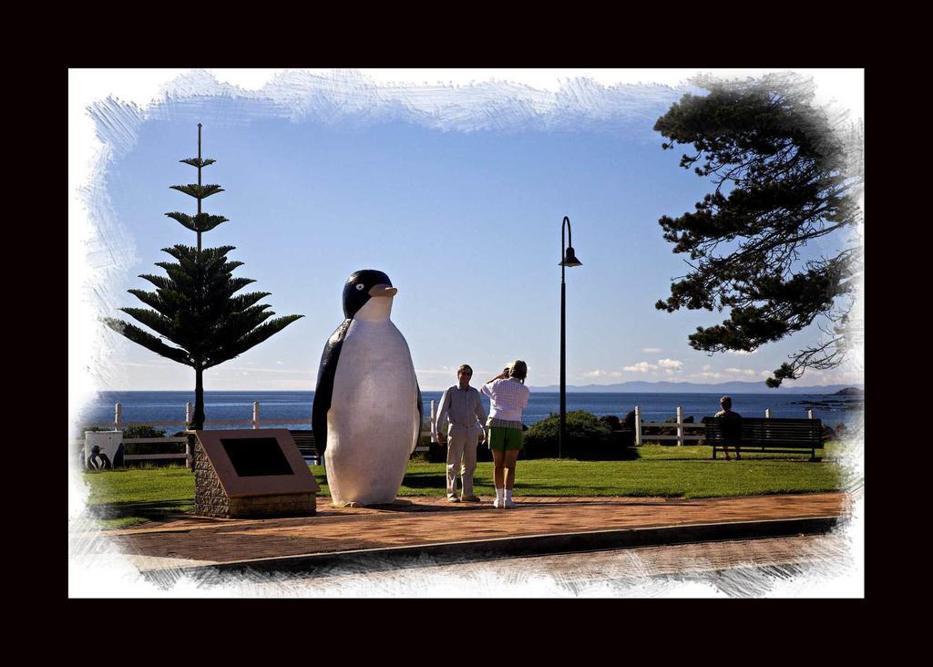 Penguin Beachfront Apartments Ngoại thất bức ảnh